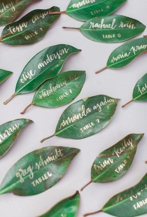  Matrimonio in verde!🦄 - 6