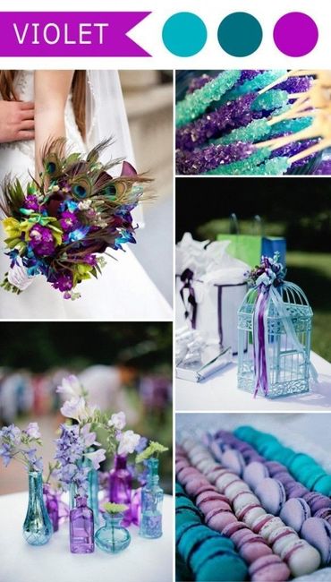  Matrimonio in viola!🦄 - 5