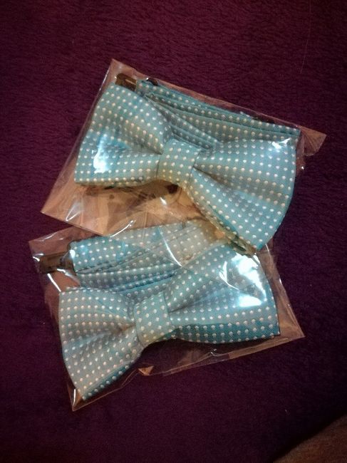  Cerchietti e papillon - 1