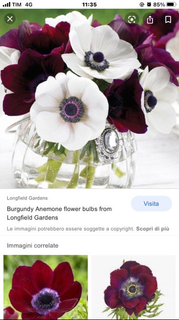 bouquet fine agosto - 1