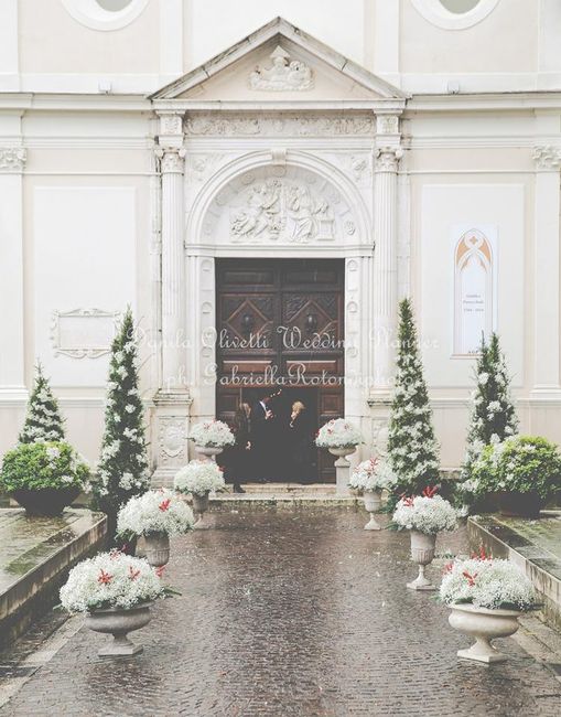 Sos fiori dicembre - 7