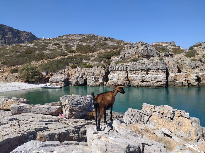 Luna di miele a karpathos 3