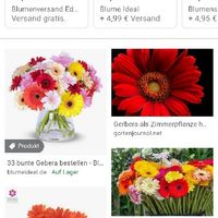 Gerbera come fiore matrimonio - 1