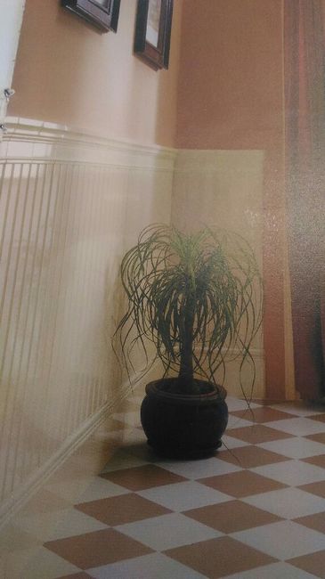  Dubbio piastrelle bagno - 3