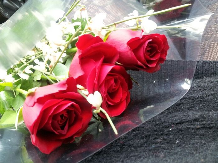 Quando ti ha fatto la proposta? - 3