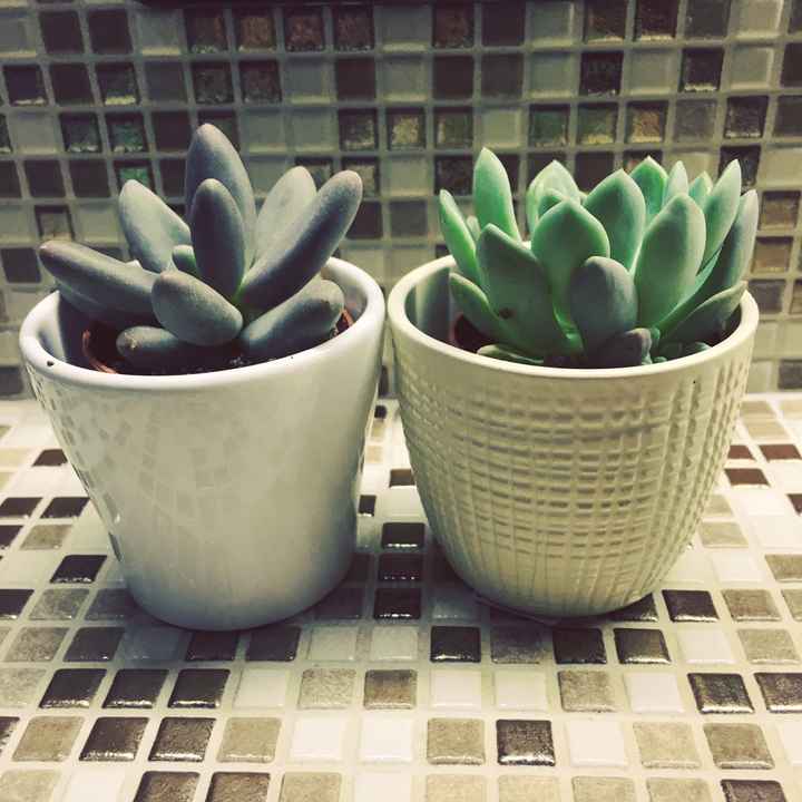  Prova bomboniere 😊😊 - 1