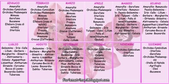 Fiori per mese