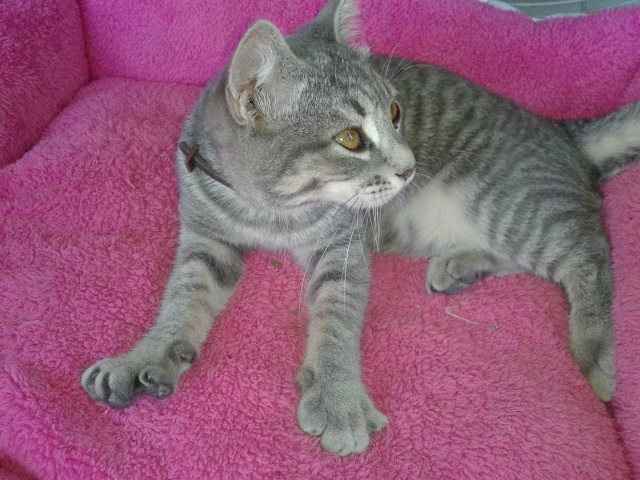 Nuova "coinquilina" :) - 1