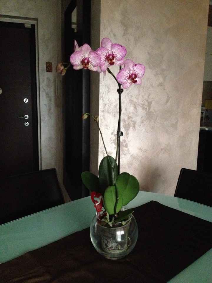 Amo le orchidee
