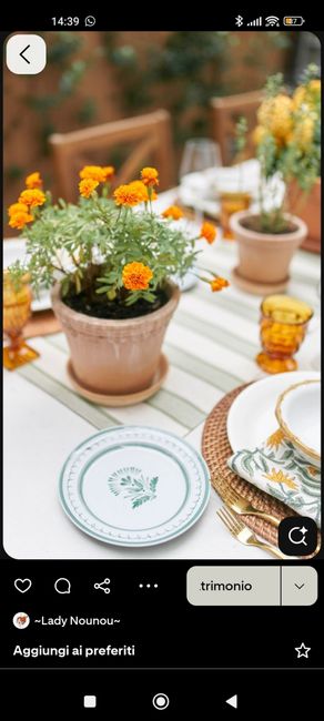 Centrotavola piante aromatiche 7