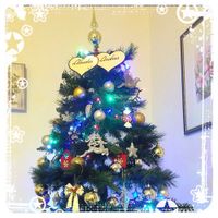 Il vostro albero di Natale! - 1