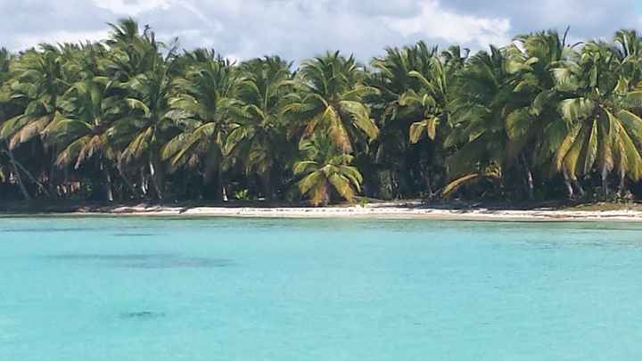 Viva Wyndham Dominicus Beach Santo Domingo - 1