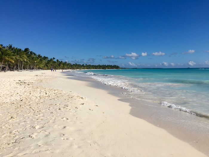 Viaggio di nozze! Dove andrete? 1