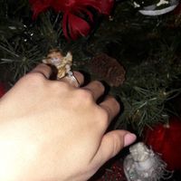 Finalmente è arrivatooooo - 2