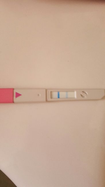 Test di ovulazione clearblue - 1
