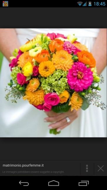 Come abbinare il giallo, l arancio e il verde  - 1