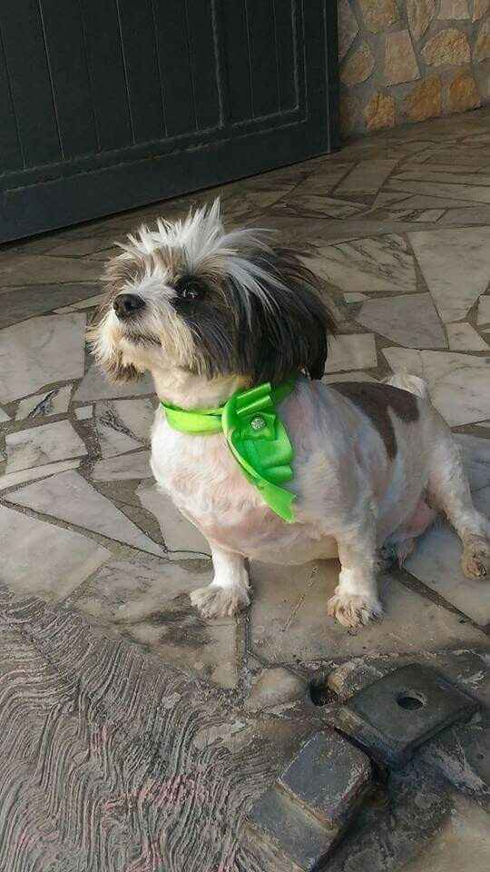 La nostra promessa! ? - 11