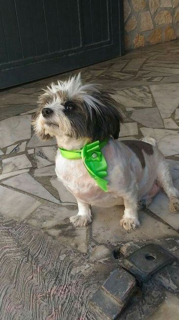 La nostra promessa! ? - 11