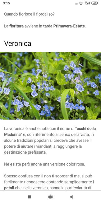 Nomi di fiori azzurri diversi per le tavole 3