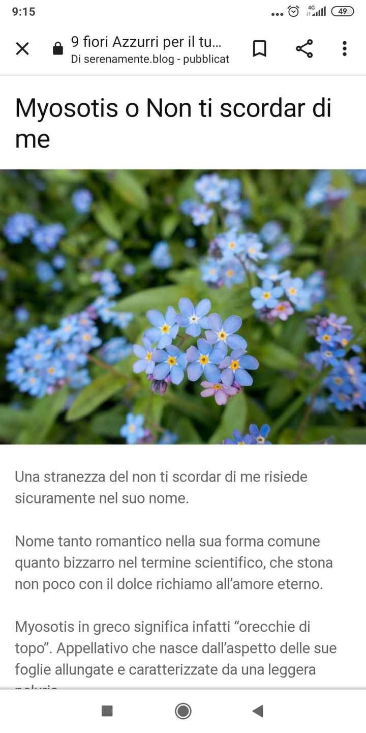 Nomi di fiori azzurri diversi per le tavole - 1