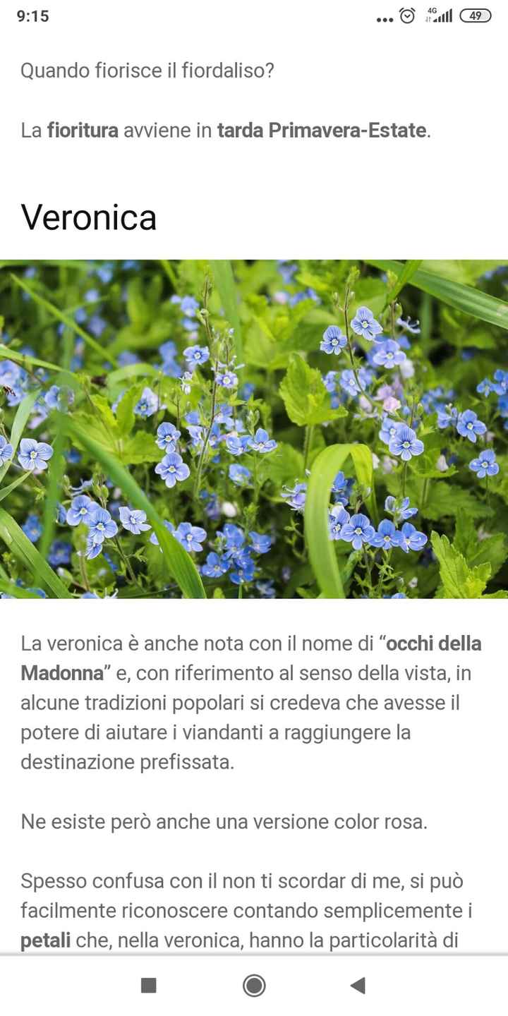 Nomi di fiori azzurri diversi per le tavole - 3