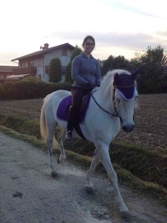 Too cute: i vostri amici animali - 1
