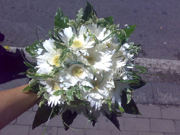 bouquet gerbere