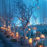 Stagioni: matrimonio invernale! - 2