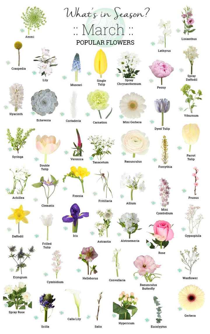 Fiori stagionali! - 3