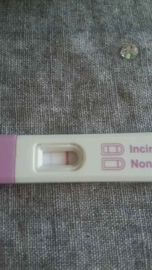 Vi prego ditemi se è  si o no - 1