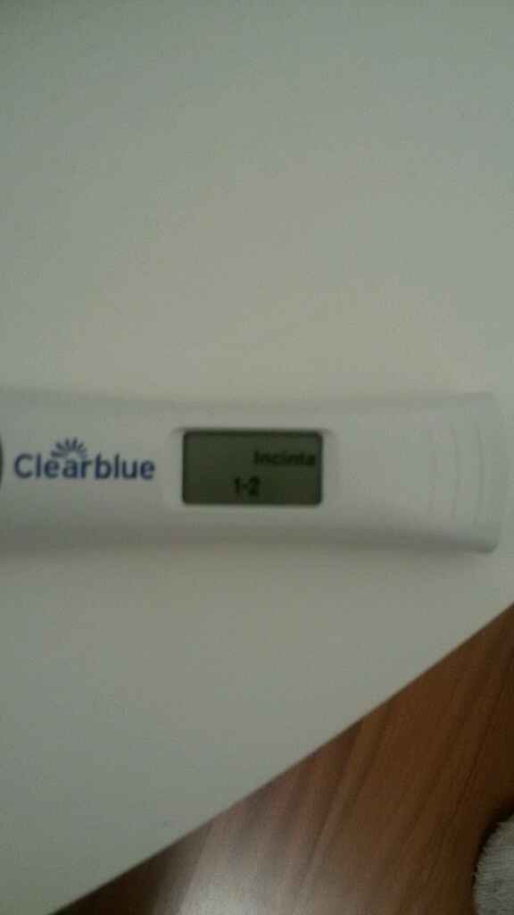 Vi prego ditemi se è  si o no - 1