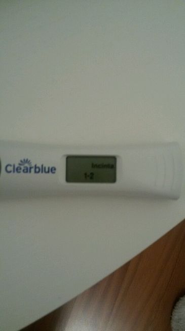 Vi prego ditemi se è  si o no - 1