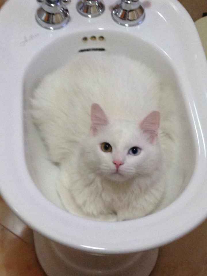 I nostri animali ♥️ - 1