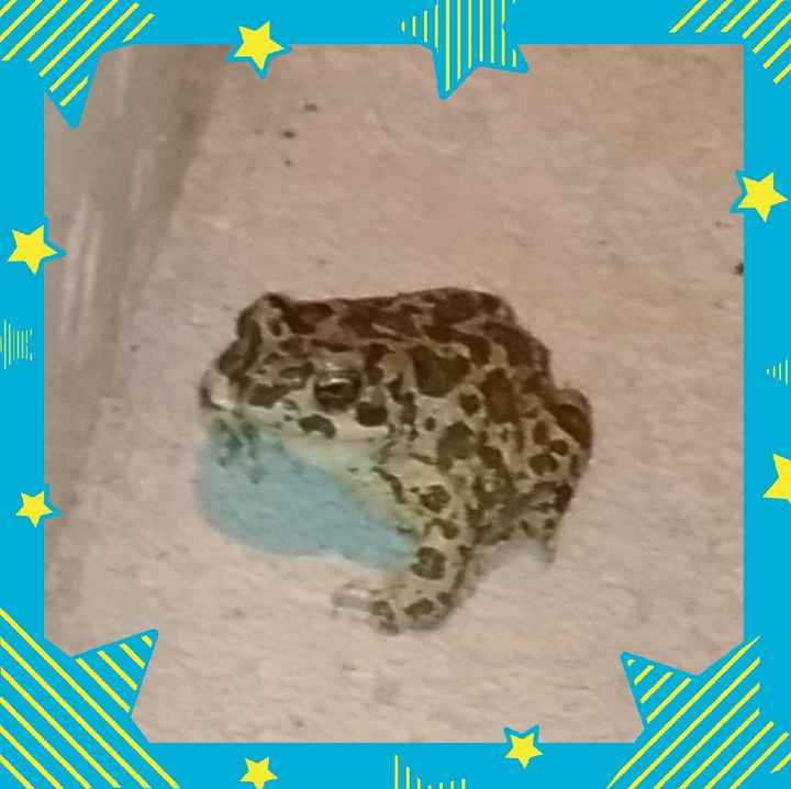 a -1 ho trovato il mio principe azzurro! - 1