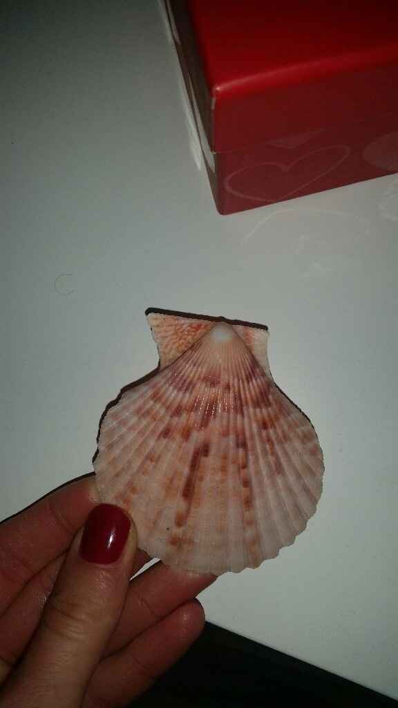 Conchiglia segnaposto - 1