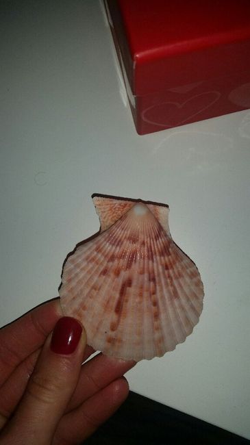 Conchiglia segnaposto - 1