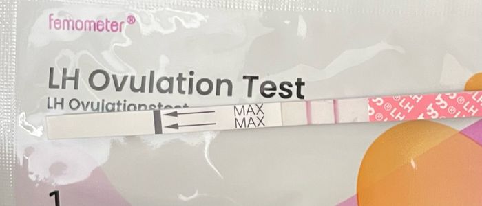 Chi non le aspetta per Dicembre 2024 🎄🍀♥️ - 1