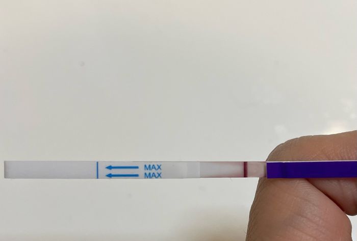 Chi non le aspetta per Dicembre 2024 🎄🍀♥️ - 1