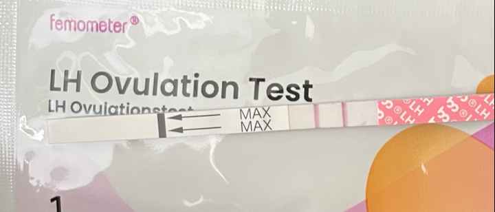 Chi non le aspetta per Dicembre 2024 🎄🍀♥️ - 1