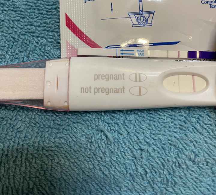 Chi non le aspetta per Dicembre 2024 🎄🍀♥️ - 1