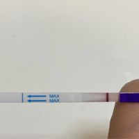 Chi non le aspetta per Dicembre 2024 🎄🍀♥️ - 1