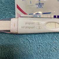 Chi non le aspetta per Dicembre 2024 🎄🍀♥️ - 1