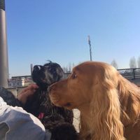 Too cute: i vostri amici animali - 1