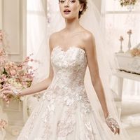 Vi faccio vedere il prototipo delle partecipazioni - 1