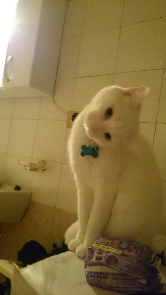 Vi presento nina! - 1