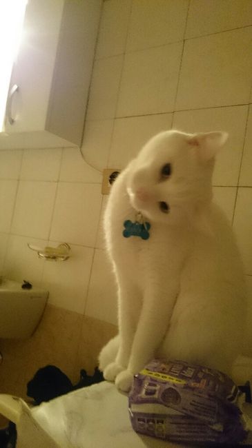 Vi presento nina! - 1