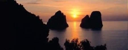 ..............................