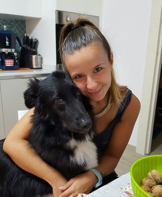 Animali domestici - 1