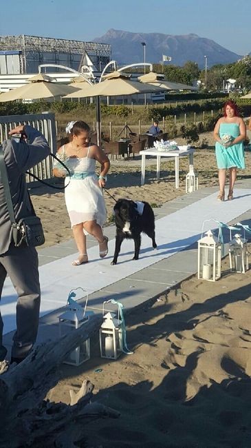 Finalmente sposi!!!! - 5