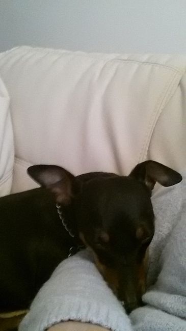 E miky, il mio adorato e amato cagnolino?!  - 1